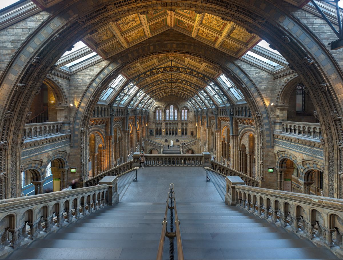 The Romanesque arches and vaulted ceiling of the main hall of the Natural History Museum in London.